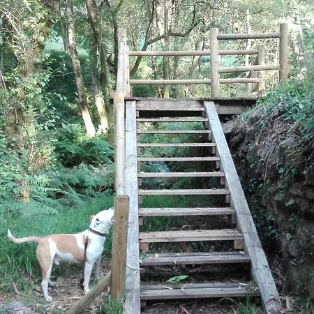 Сasa de vacaciones Casa Da Fonte
