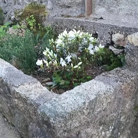 別荘 Casa Da Fonte ポンテベドラ